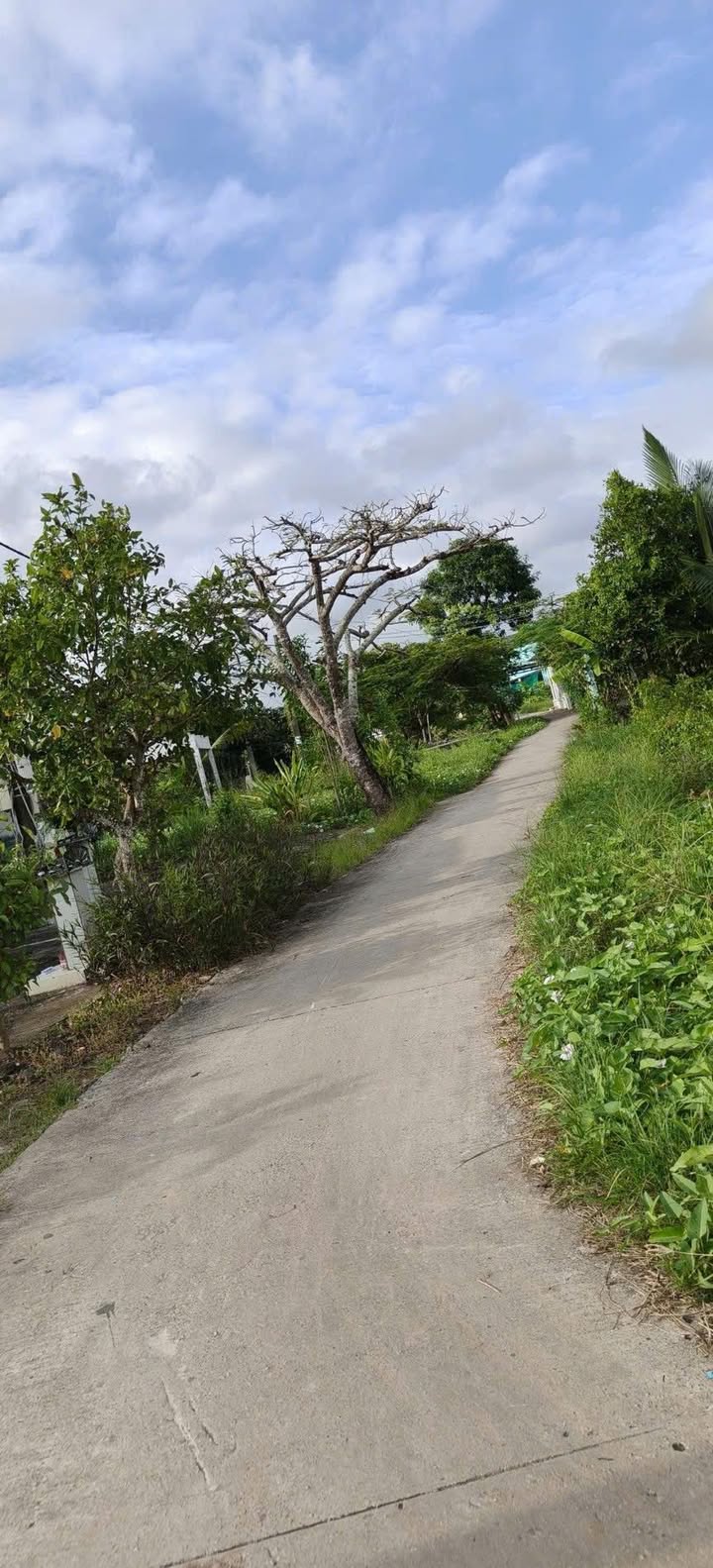 Đất nền hẻm Mỹ Hảo, P5, Bạc Liêu 490m² - Giá tốt, sẵn sàng thương lượng!