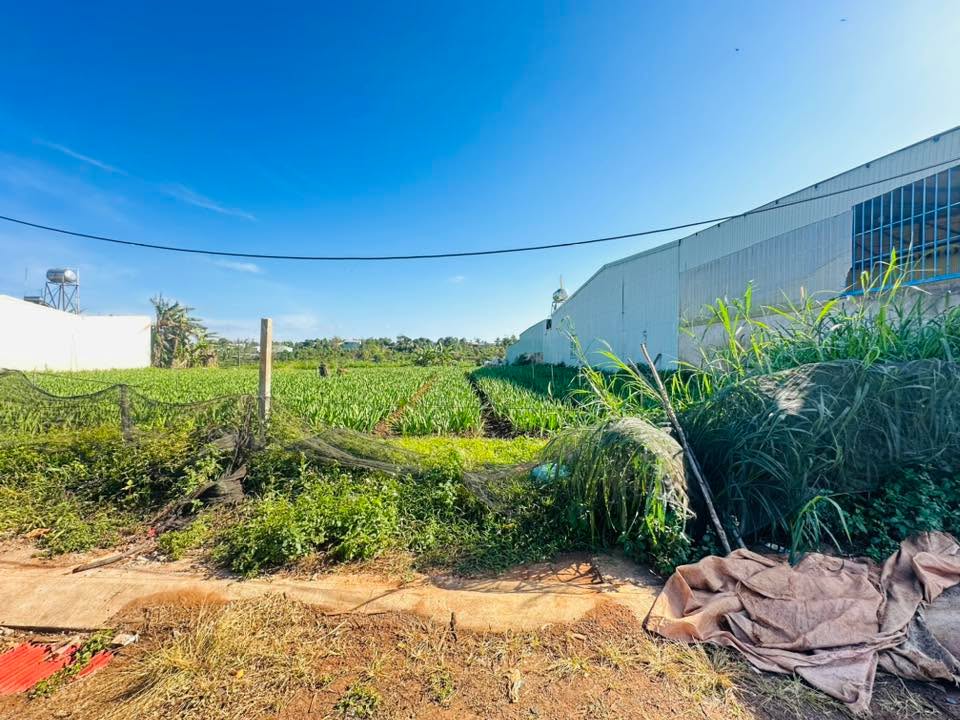 Lô đất 2 mặt tiền Hẻm Lý Thường Kiệt, Pleiku 100m² giá 1.2 tỷ - Sổ hồng chính chủ!