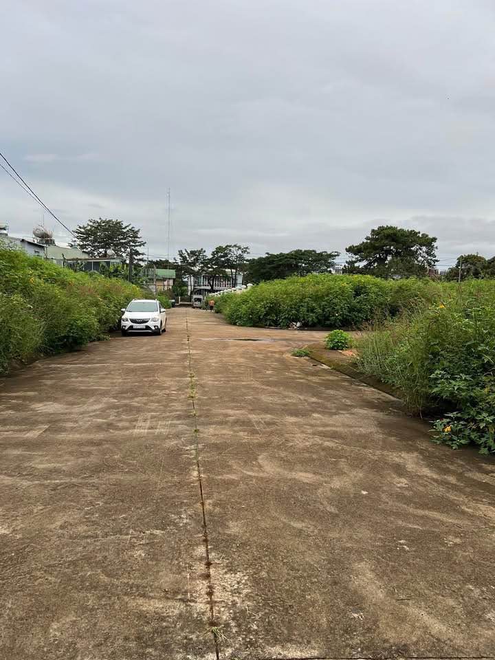 Đất hẻm 42 Nguyễn Văn Cừ, Quận 1, 77m² giá 1.55 tỷ - Đối diện khu FLC, thuận tiện đi lại