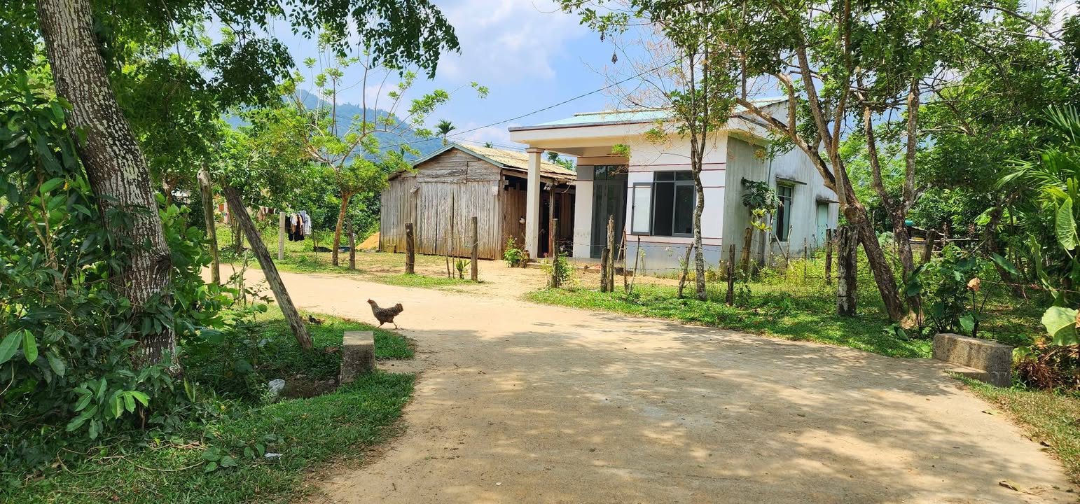 Đất nền 812,4m² tại xã Sông Vàng, Đà Nẵng - Tiềm năng đầu tư lớn!