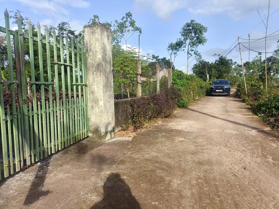 Đất nền Thọ Lộc 1, Nhơn Thọ, An Nhơn 150m² - Giá chỉ từ 300 triệu!