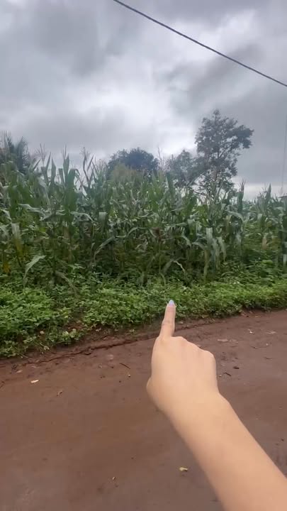 Đất nền liền kề Phường Cư Bao, Buôn Hồ 105m² giá 580 triệu - Đầu tư sinh lời ngay!