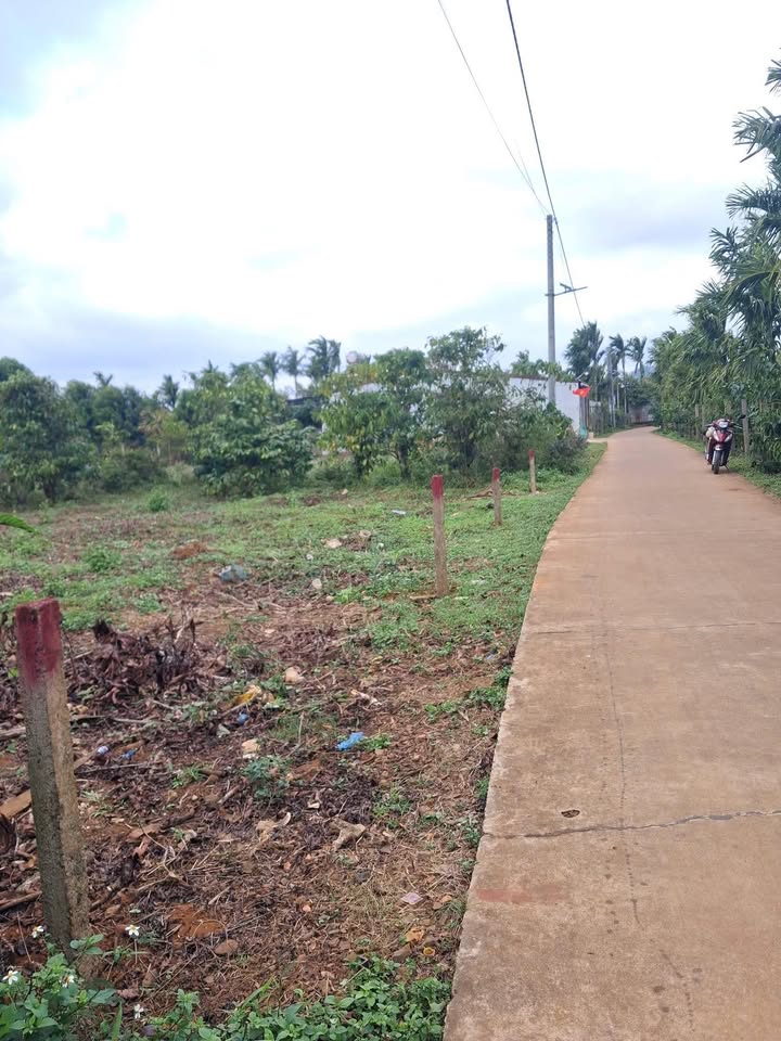 Đất nền thổ cư 225m² tại thôn 10, Krông Búk - Giá chỉ 950 triệu/lô