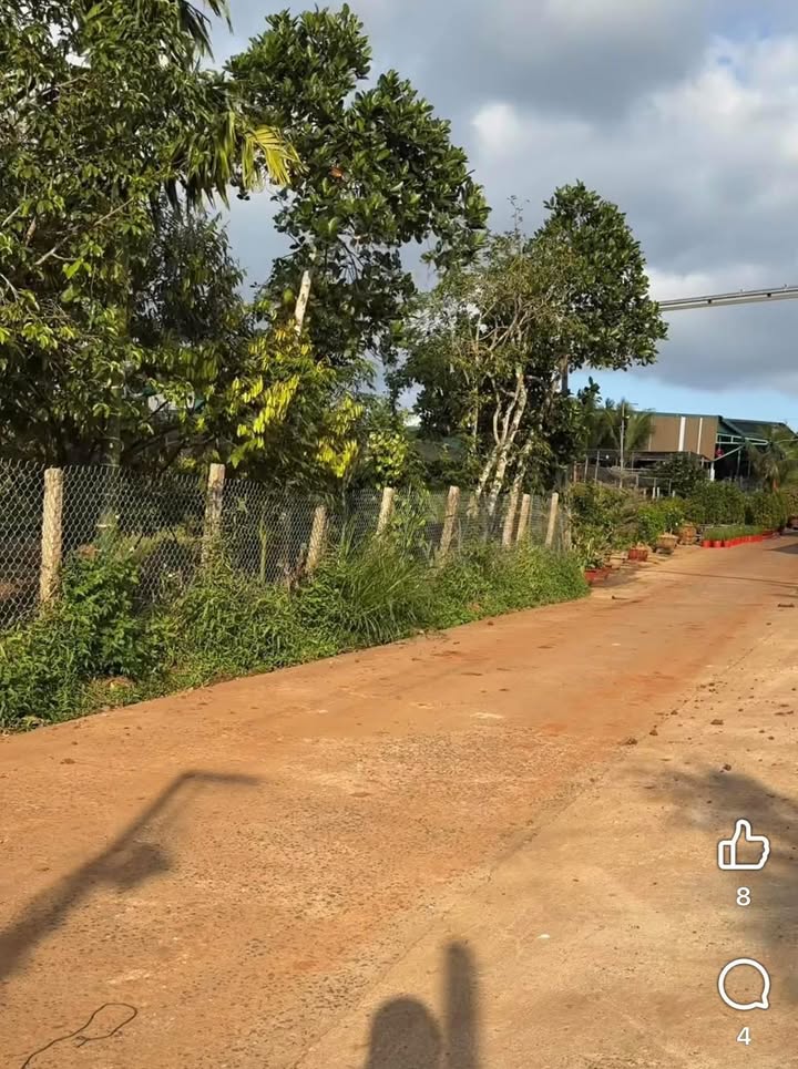 Đất nền Trần Nguyên Hãn Đạt Hiếu Buôn Hồ 150m² giá 6.9 tỷ - Cơ hội đầu tư tuyệt vời!