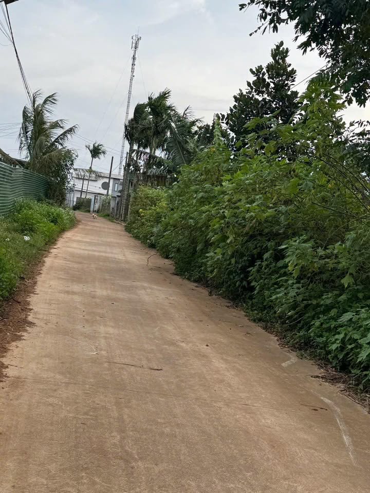 Bán FrontHouse mặt tiền Ngô Thị Nhậm, 245m² giá 1.95 tỷ - Cơ hội đầu tư tuyệt vời!