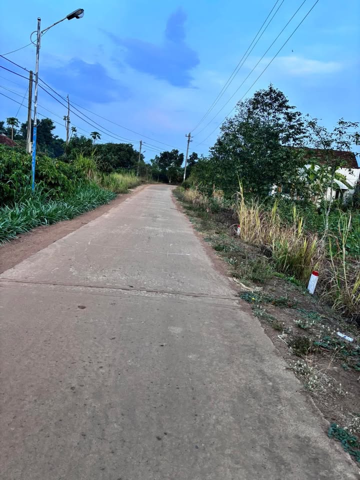 Đất nền thôn Chư Cúc, xã Ea Kmút 350m² giá 13.225 tỷ - Hướng Đông thoáng mát!