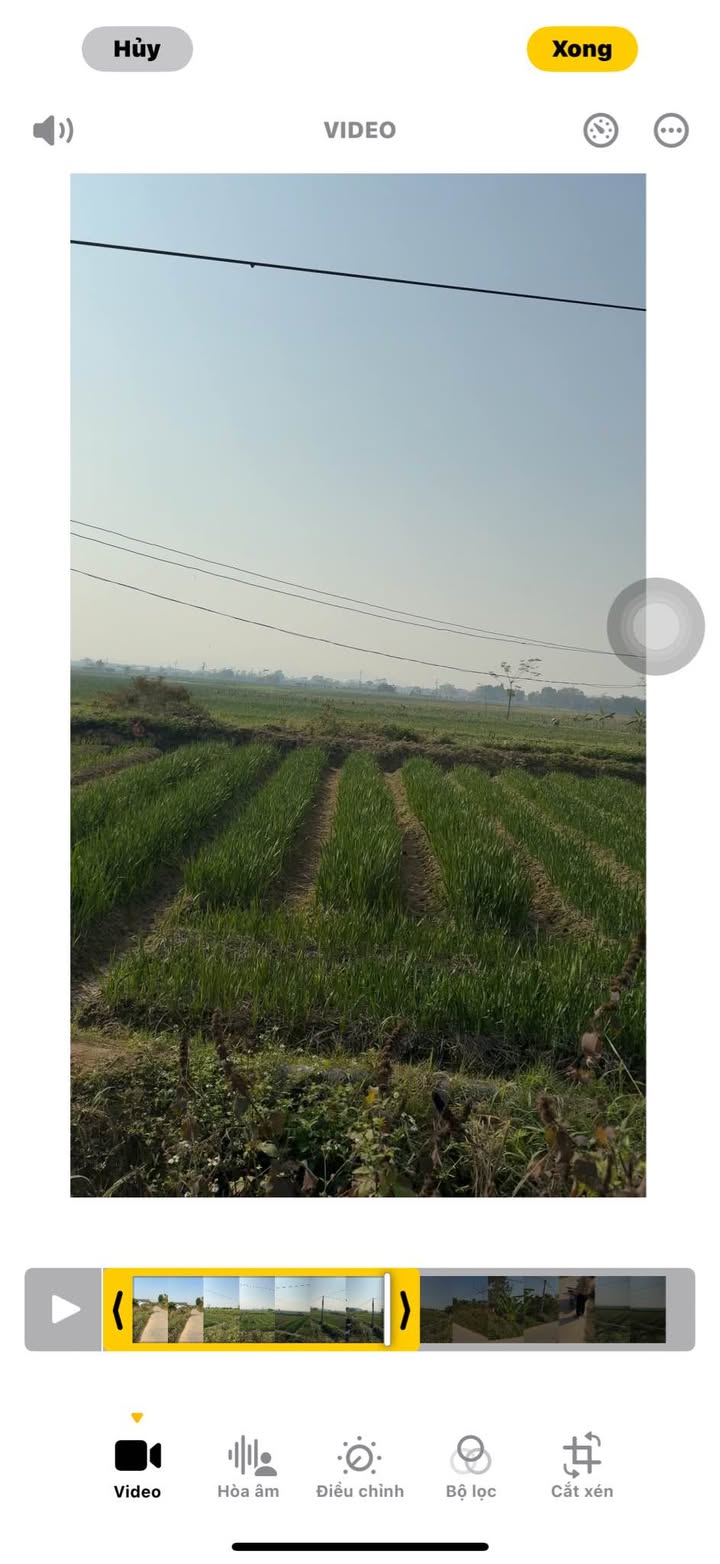 Đất nền KCN Song Mai 100m² giá 3 tỷ - Đầu tư sinh lời cao!