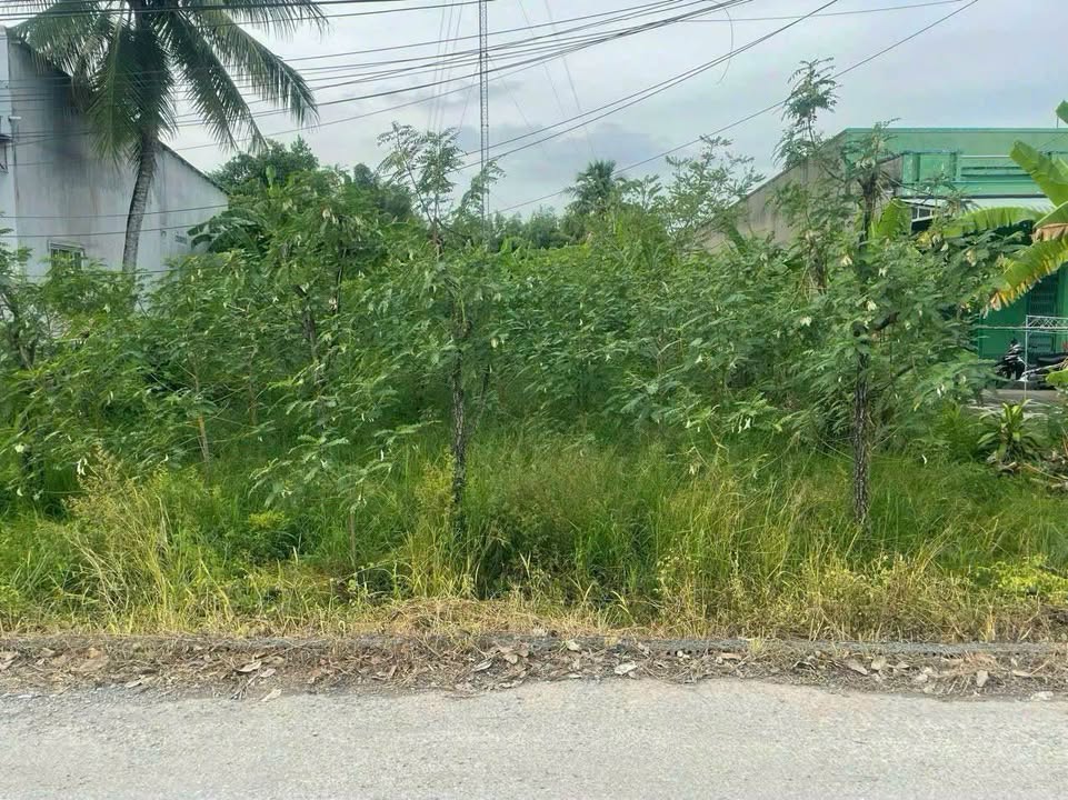 Đất thổ cư 235m² đường Nguyễn Huệ, Vị Tân, giá 1.9 tỷ - Sổ hồng chính chủ!