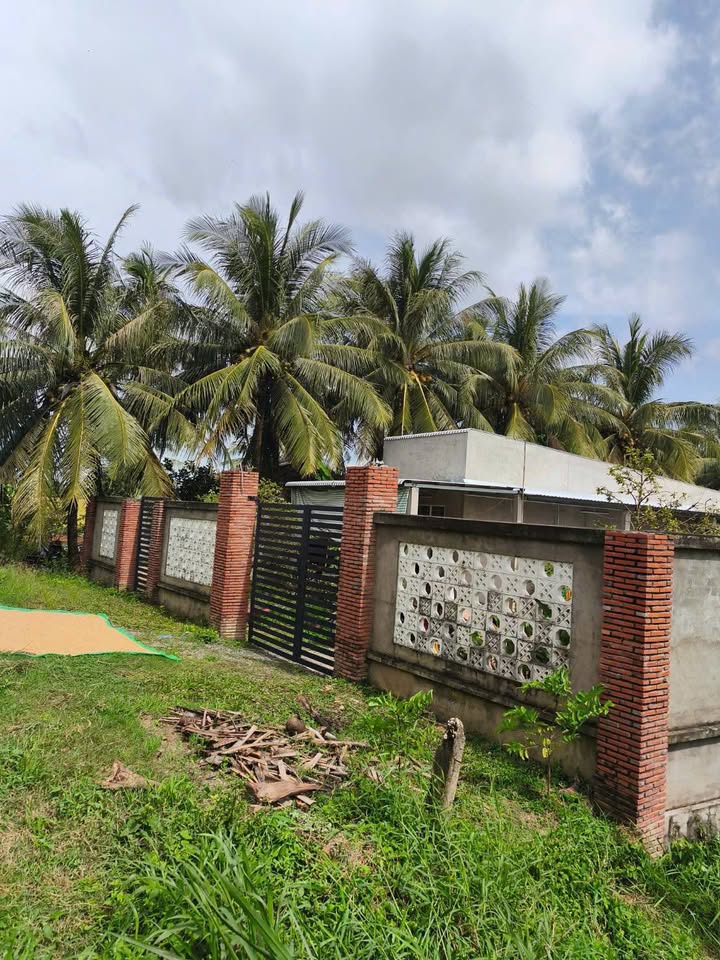 Đất vườn dừa 13.277m² tại Đa Lộc, Châu Thành - Giá chỉ 3.59 tỷ - Cơ hội đầu tư tuyệt vời!