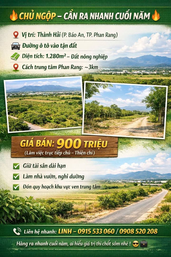 Đất nông nghiệp 1280m² tại Bảo An, Phan Rang – Tháp Chàm giá 900 triệu - Đầu tư sinh lời ngay!