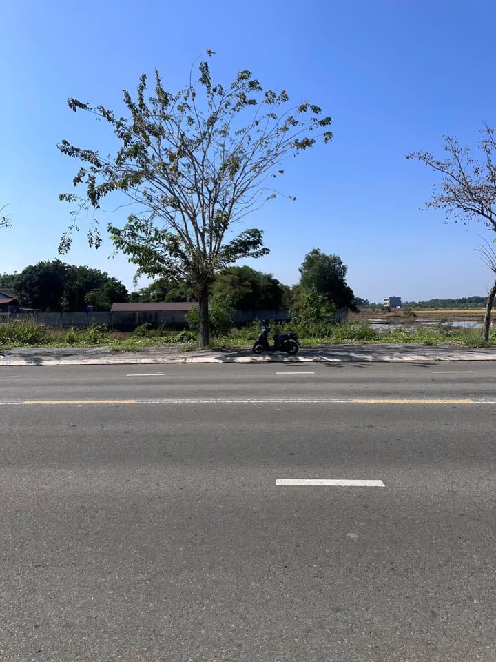 Đất nền 3700m² mặt tiền Mô Xoài, Phước Hưng - Sổ đỏ chính chủ chỉ 25.9 tỷ