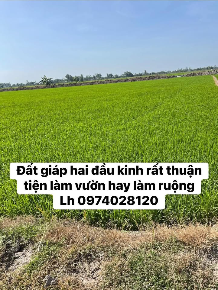 Đất nông nghiệp xã Đông Thuận 6000m² giá 13.2 tỷ - Cơ hội đầu tư hấp dẫn!