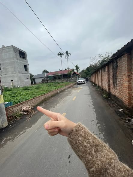 Đất nền 82,5m² Võng Xuyên - Phúc Thọ - Chính chủ bán gấp chỉ 3 tỷ!