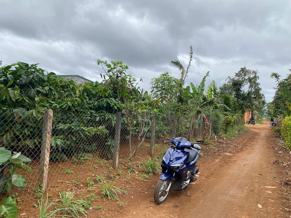 Đất nền hẻm Bông, Ia Băng 135m² giá chỉ 200 triệu - Cơ hội đầu tư sinh lời!