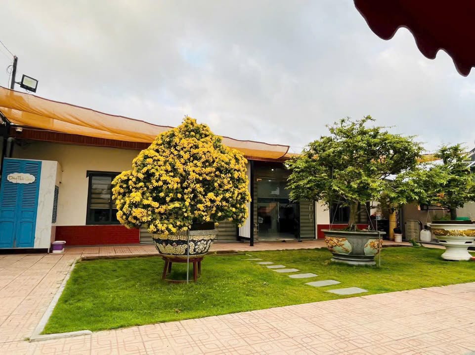 Bán gấp nhà vườn đẹp Xã Bình Lợi - 506m² chỉ 3,7 tỷ - Sẵn sàng vào ở!