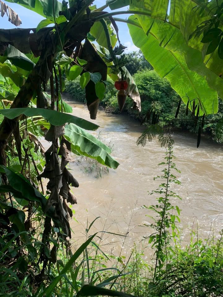 Đất nền 8.309m² tại Xuân Đông, Cẩm Mỹ, Đồng Nai - Sổ hồng chính chủ, giá chỉ 3.24 tỷ!