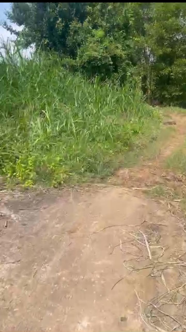 Đất nền bhk Bình Phú 202m² giá thỏa thuận - Cơ hội đầu tư tuyệt vời!