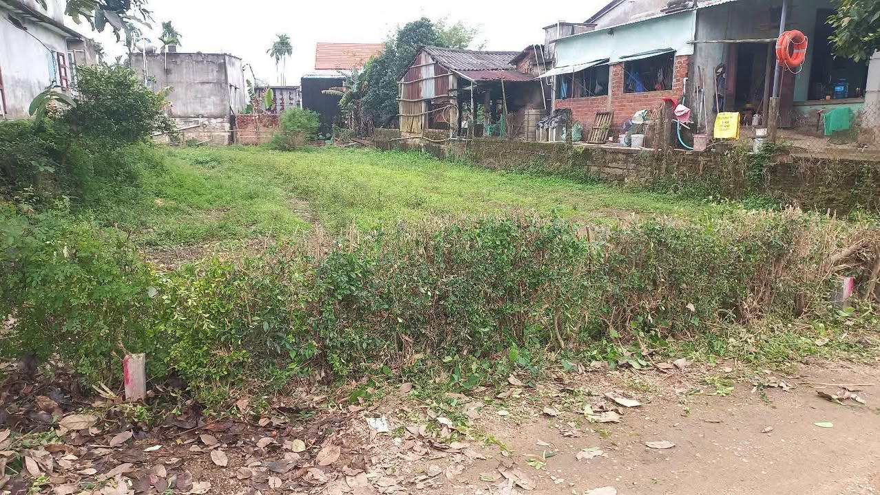 Đất vườn Thị trấn Nam Phước 150m² giá 600 triệu - Nhanh tay sở hữu!