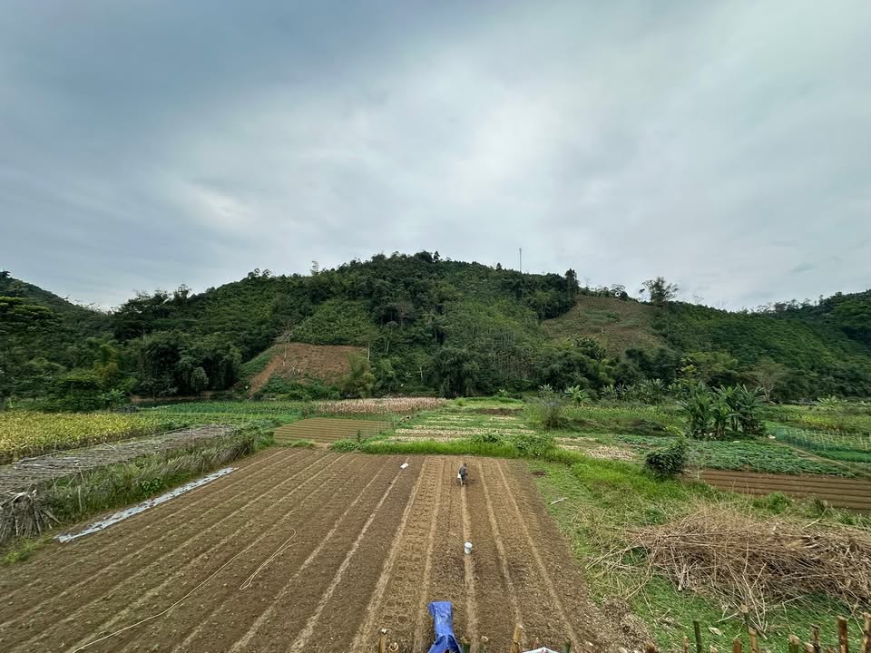 Đất vườn tại Phường Đức Xuân 730m² - View sông tuyệt đẹp, phong thủy tốt!