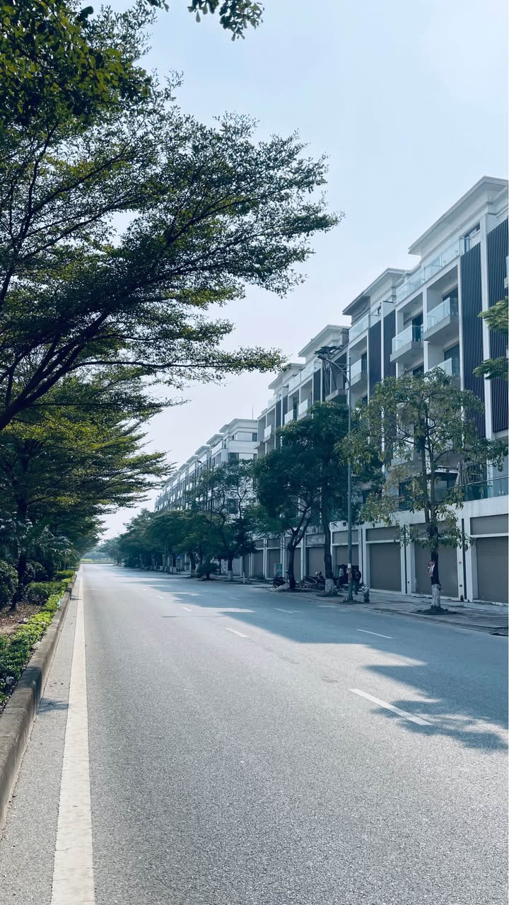 Shophouse mặt đường tỉnh lộ 277, Từ Sơn, 141m² giá 12 tỷ - Đầu tư sinh lời tốt!