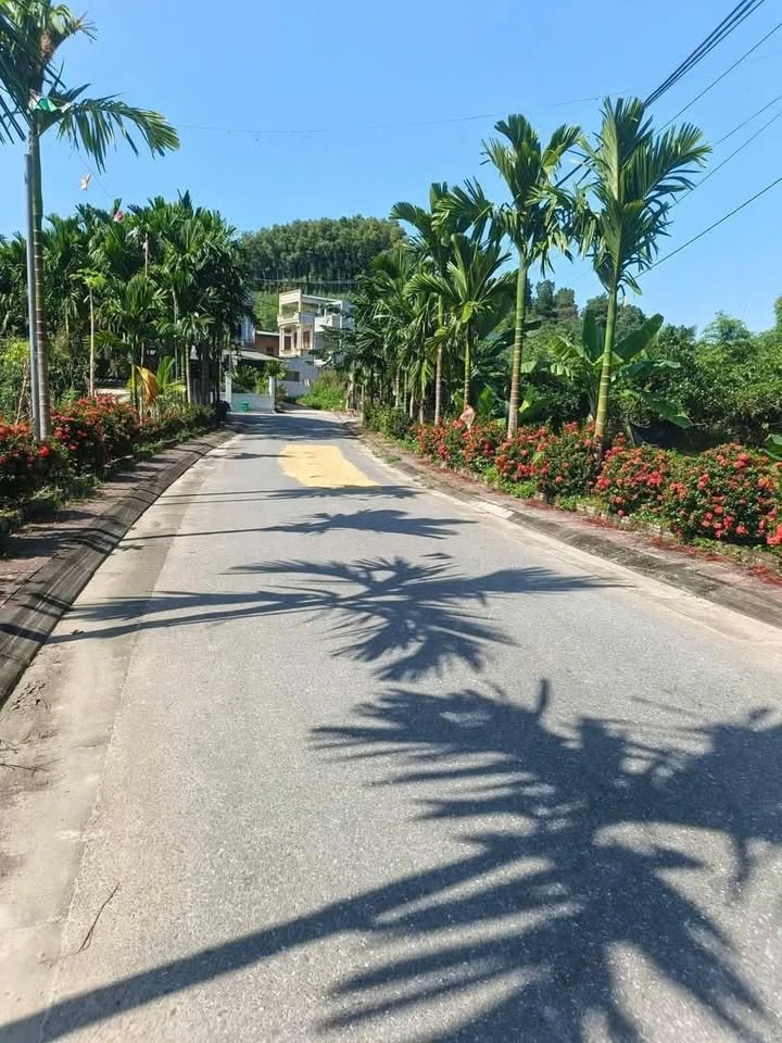 Nhà cấp 4 Tổ 3 Ỷ La, Tuyên Quang 120m² giá 2.x tỷ - Sang nhượng gấp!