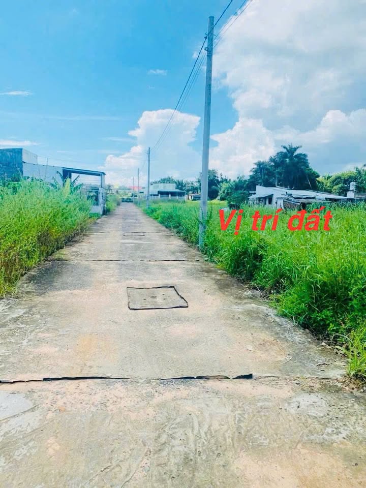 Đất cây trồng 100m² Tiến Lợi, Phan Thiết chỉ 210 triệu - Cơ hội đầu tư hấp dẫn!