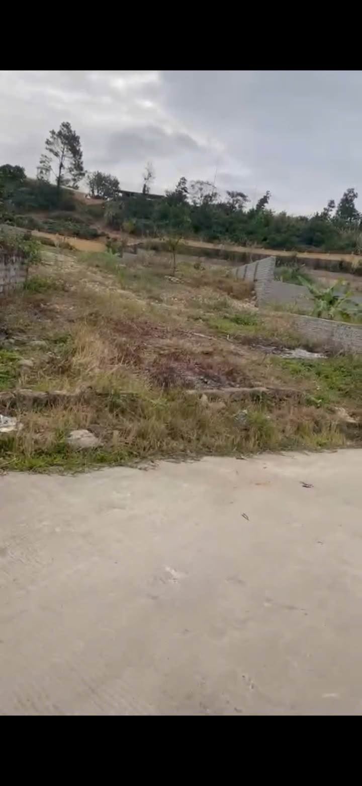 Kho bãi cho thuê tại KCN Việt Hưng 5000m² - Giao thông thuận lợi, an ninh đảm bảo