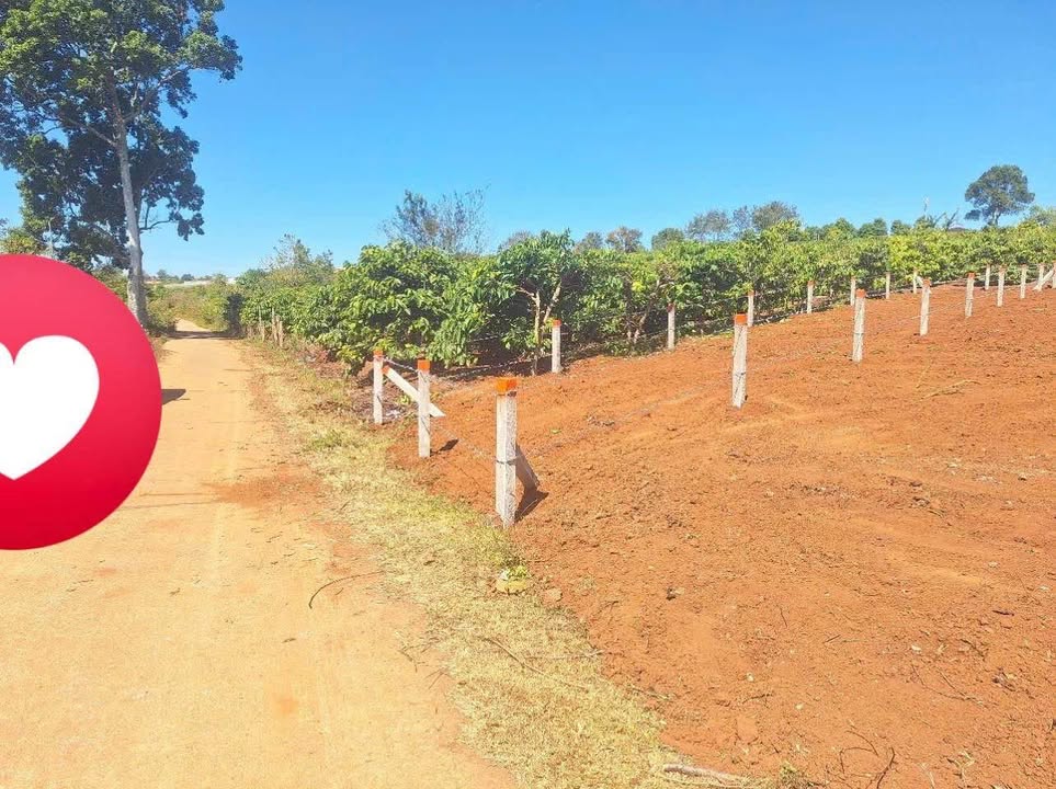 Đất thổ cư mặt tiền chính Lý Chính Thắng 150m² giá 500 triệu - Cơ hội đầu tư hấp dẫn!