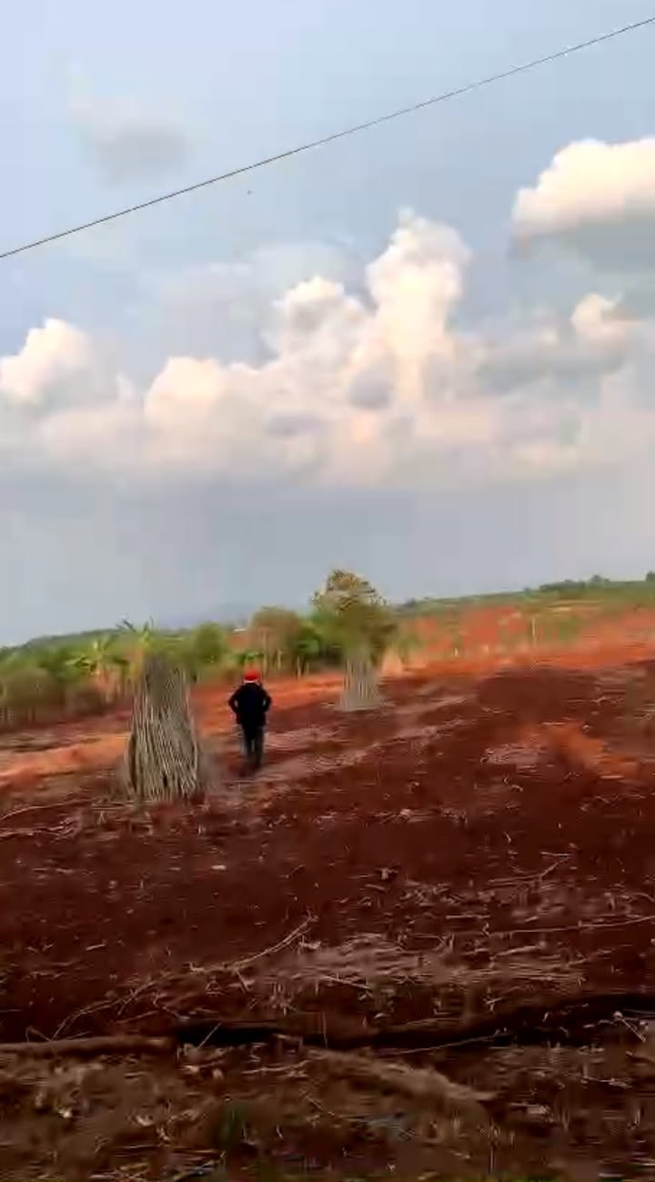 Đất nền 34,000m² tại Hòa Phú, Chư Păh, Gia Lai - Giá 1.5 tỷ, cơ hội đầu tư hấp dẫn!