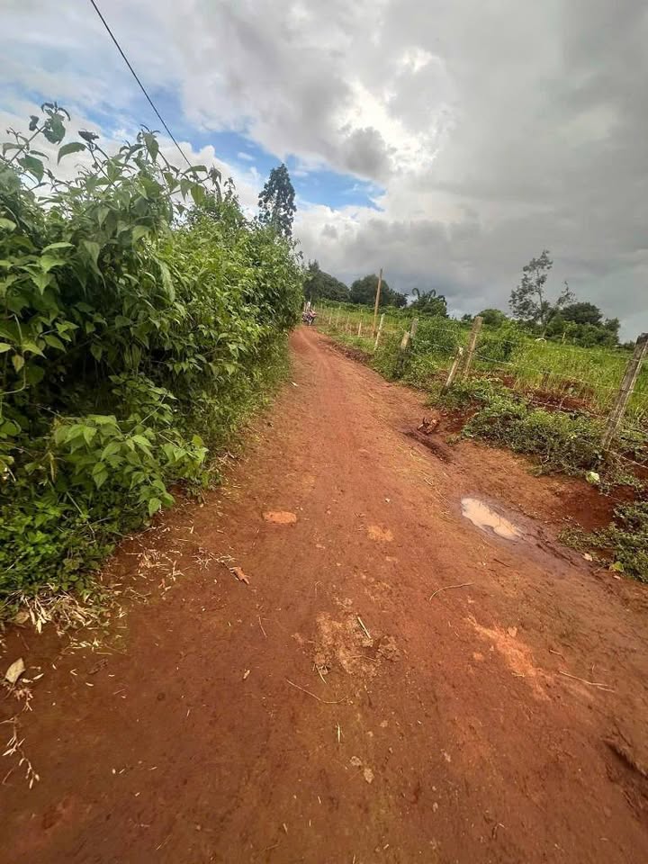 Đất nền đẹp tại xã Ia Chim, Kon Tum 75m² - Cơ hội đầu tư sinh lời!