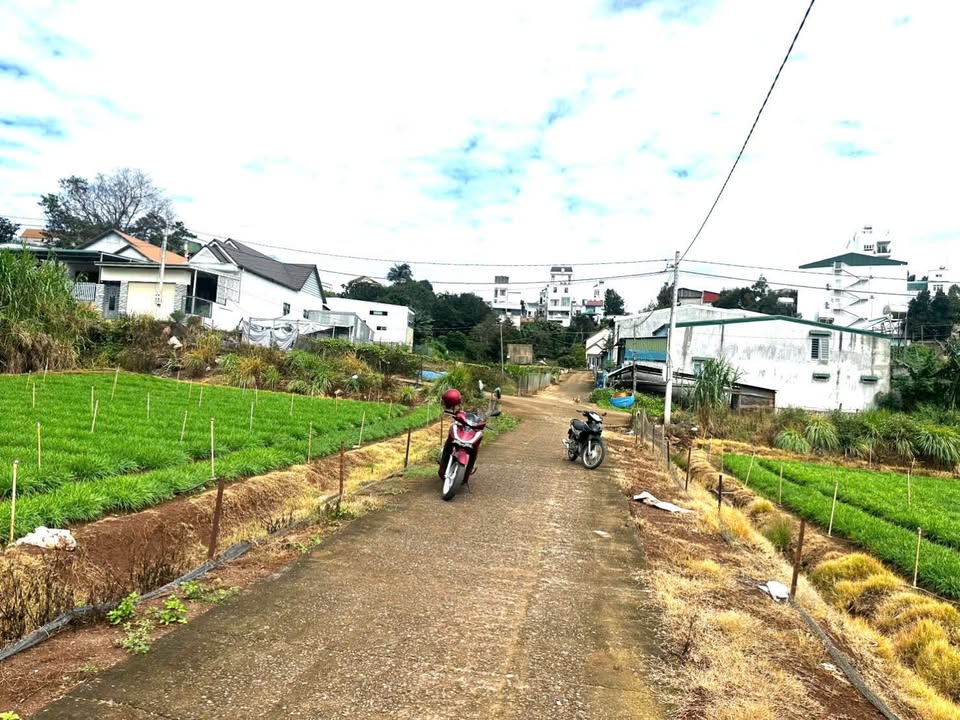 Đất thổ cư 105m² gần sân bay Liên Khương - Giá chỉ 1.2 tỷ thương lượng!