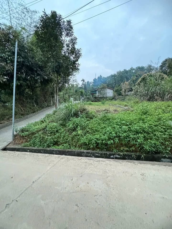 Đất thổ cư 201m² tại Yên Bái, giá hơn 1 tỷ - Địa thế cao, không ngập nước!