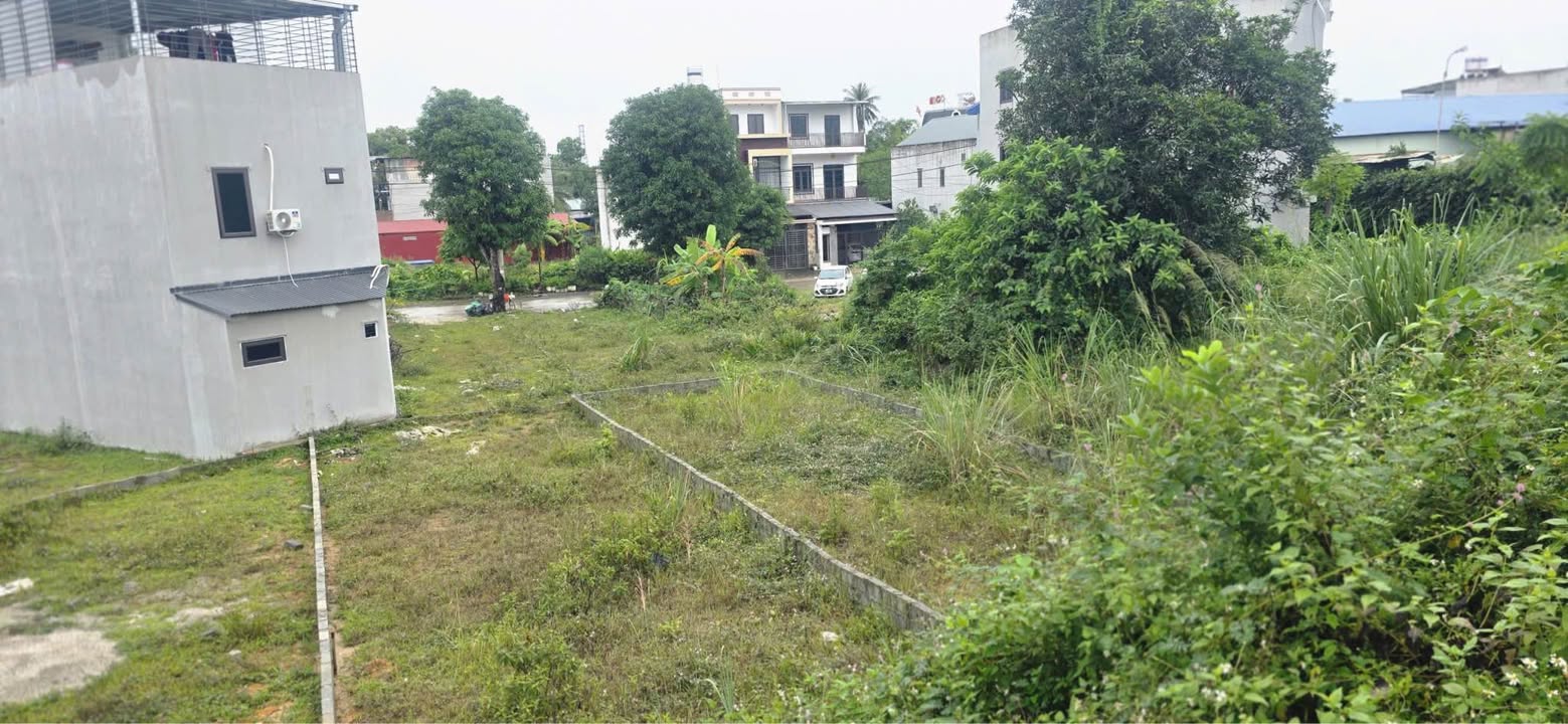 Đất liền kề khu dân cư số 11, phường Quyết Thắng, 116.9m² - Giá rẻ nhất thị trường chỉ 2.2 tỷ!