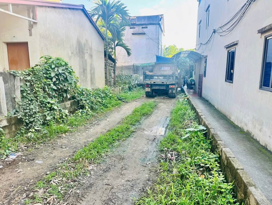 Đất thổ cư Quán Triều 83.5m² giá 1.6 tỷ - Lô góc 2 mặt tiền siêu đẹp!