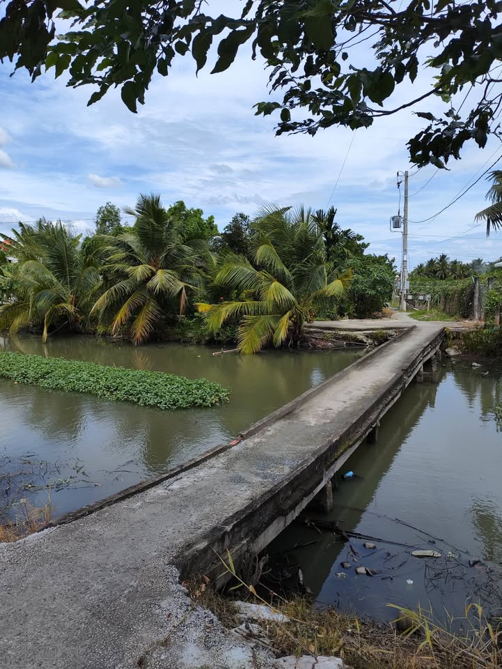 Đất lúa Hòa Phú 7200m² giá 980 triệu - Đầu tư sinh lời hoặc làm vườn nghỉ dưỡng!