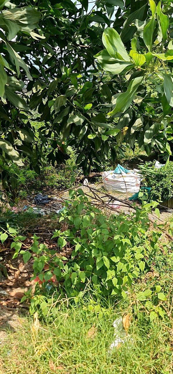 Đất mặt tiền Quốc lộ 62, Tân Tây, Thạnh Hóa, Long An 225m² giá 1.5 tỷ - Thích hợp kinh doanh!