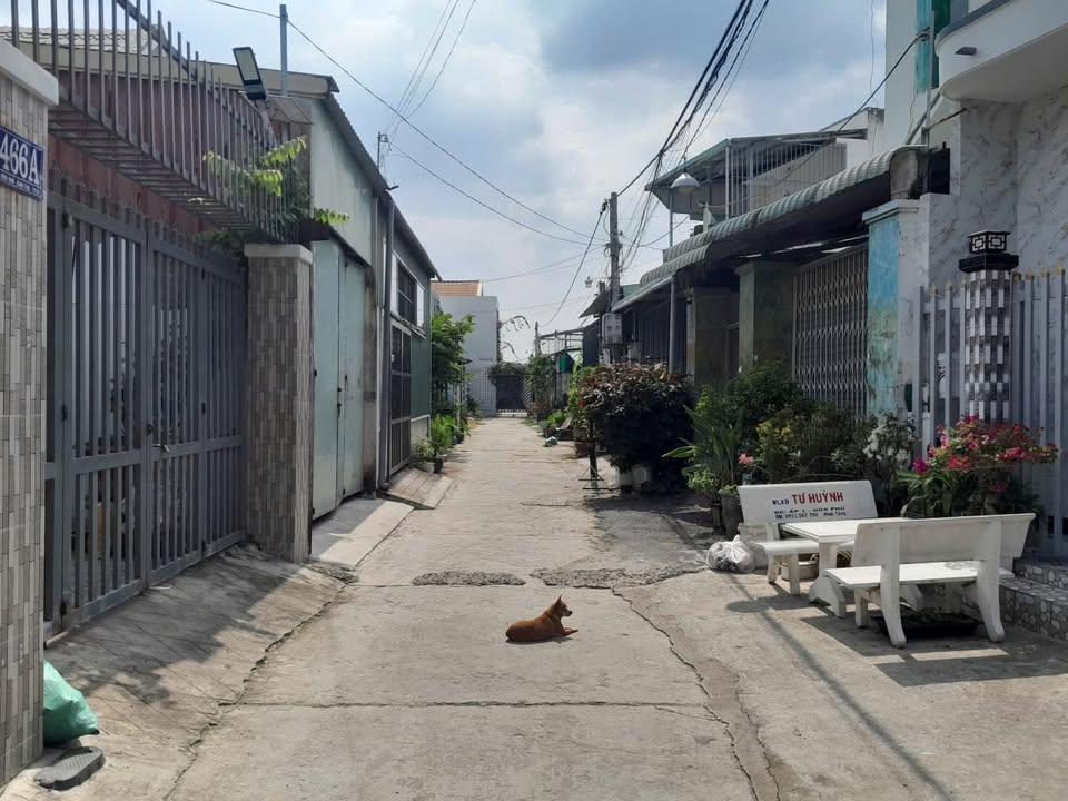 Nhà cấp 4 tại Xã Tân Long, Huyện Thủ Thừa 150m² giá 1.55 tỷ - Chính chủ bán gấp!