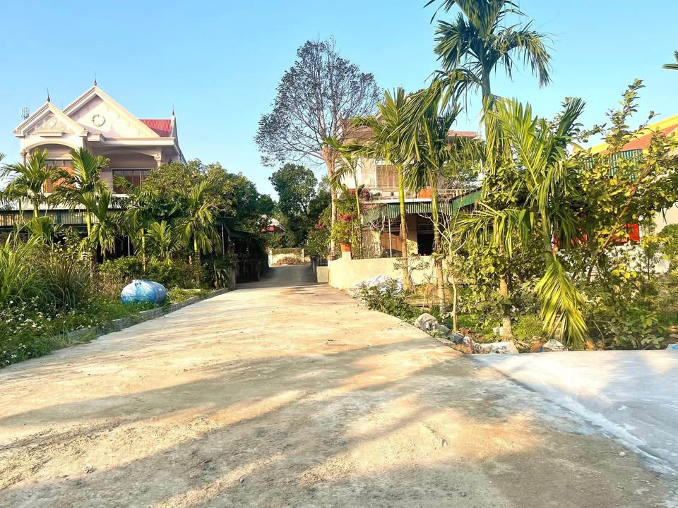 Đất ở Phường Mai Hùng - 184m² giá thỏa thuận - Vị trí thuận lợi gần trường và chợ