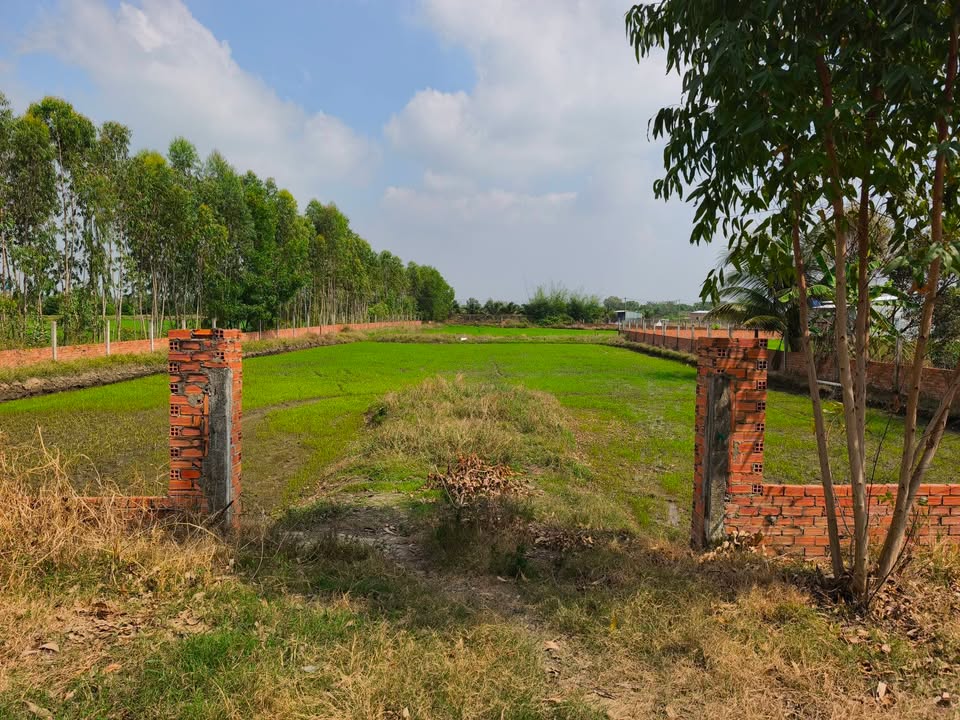 Đất nền Hòa Khánh Nam 1500m² giá thỏa thuận - Phù hợp làm nhà vườn hoặc kho xưởng!