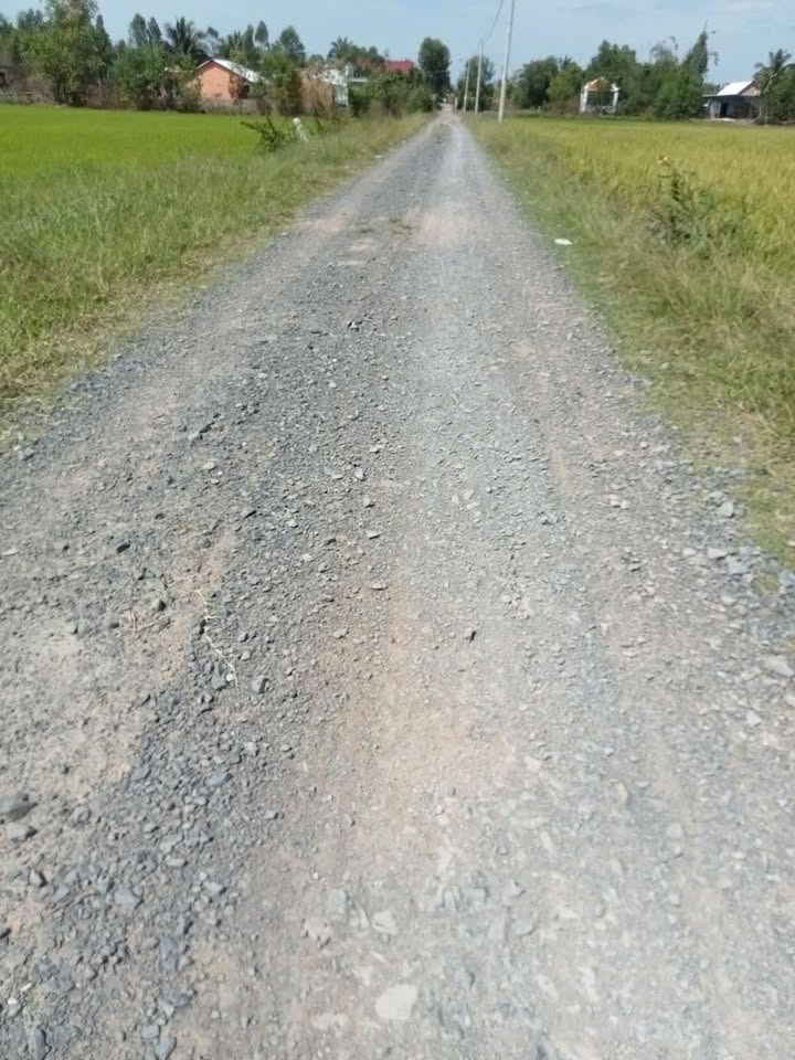 Bán Nhà Mặt Tiền Đường An Thuận, Đức Hòa, 300m² - Đầu Tư Lý Tưởng!