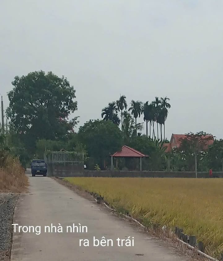 Đất vườn 2700m² tại Thạnh Đức, Bến Lức - Giá chốt nhanh chỉ 6 tỷ!