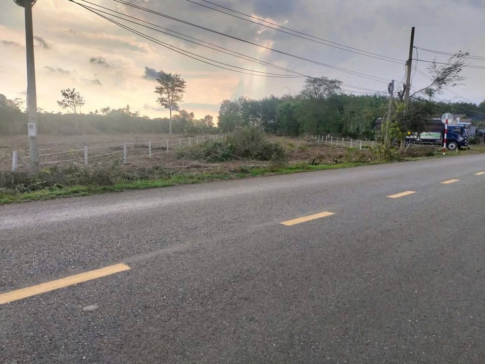 Đất thổ cư 1.000m² tại Châu Đức - Giá chỉ 3 tỷ - Cơ hội đầu tư tuyệt vời!