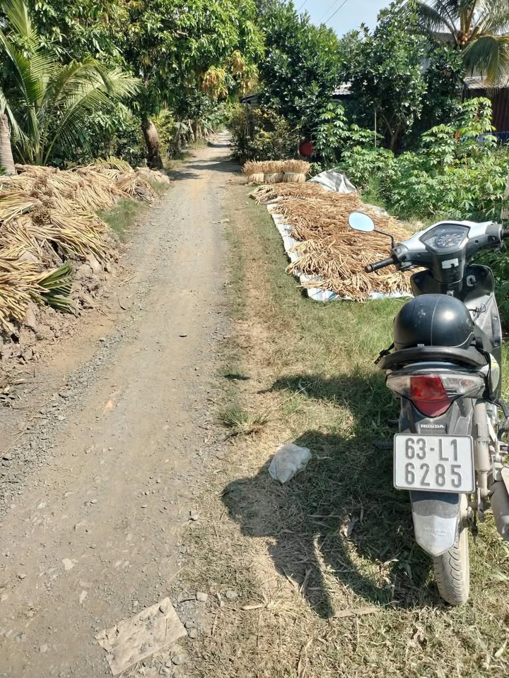 Đất Farm mặt tiền 27m tại Thanh Mỹ, 67,000m² chỉ 1.89 tỷ - Đầu tư sinh lời ngay!