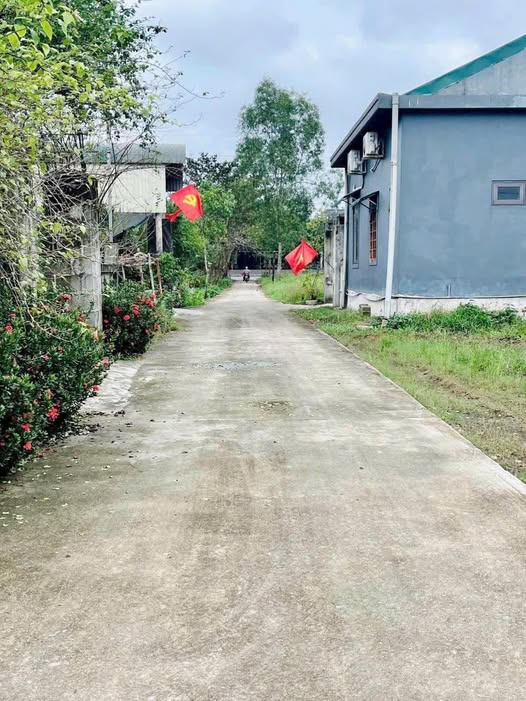 Đất nền Tân Lập, Phú Lộc 125m² giá chỉ 500 triệu - Cơ hội đầu tư hấp dẫn!