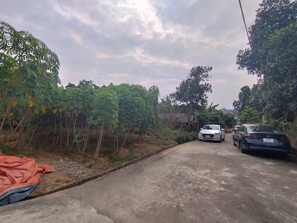 Lô đất 497m² tại Châu Phong, Quế Võ - Cơ hội đầu tư hiếm có!