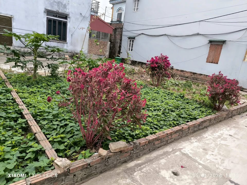 Đất nền 60m² xã Đại Đồng Thành, Bắc Ninh - Giá chỉ 1.x tỷ, thuận tiện ô tô đỗ cửa!