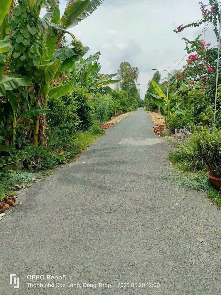 Đất & Nhà tiền chế mặt tiền Nguyễn Văn Dình, Mỹ Trà, 125m² chỉ 1.15 tỷ - Giá tốt, pháp lý chuẩn!