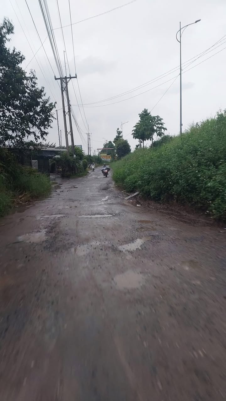 Đất làm vườn Thạnh Lộc, An Giang 986m² giá 1,1 tỷ - Cơ hội đầu tư hấp dẫn!