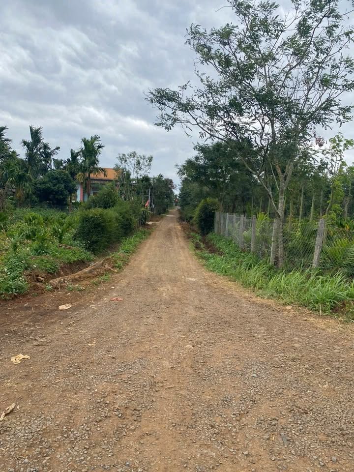 Đất thổ cư Thôn 11, xã Ea Ning 175m² giá 300 triệu - Gần chợ và trường học!