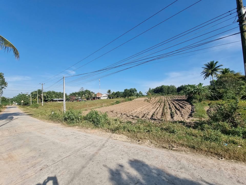 Đất nền Nông Trường, Tây Ninh Hòa 3600m² giá 1.35 tỷ - Pháp lý rõ ràng, cơ hội đầu tư hấp dẫn!